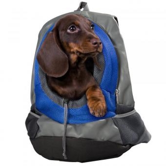 Rucksack für Hunde 