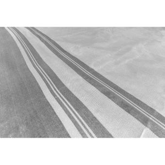 Zeltteppich Trip, 2,5 x 7 m 7 m