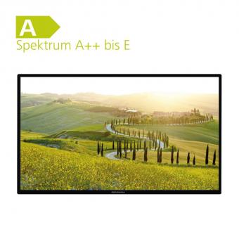 TFT-LED-Flachfernseh-DVD-Kombination Alphatronics SL-32 DSBAI+, 12 / 230 Volt 